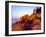 Acadia NP, Maine. Bass Harbor Head Lighthouse at Sunrise-Scott T. Smith-Framed Photographic Print