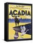 Acadia-null-Framed Stretched Canvas