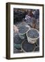 Acai Berries for Sale in the Morning Market, Belem, Para, Brazil, South America-Alex Robinson-Framed Photographic Print