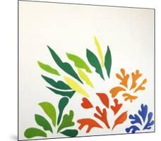 Acanthes-Henri Matisse-Mounted Art Print