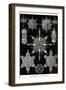 Acanthophracta-Ernst Haeckel-Framed Art Print