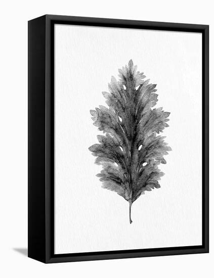 Acanthus Leaf 1-Allen Kimberly-Framed Stretched Canvas