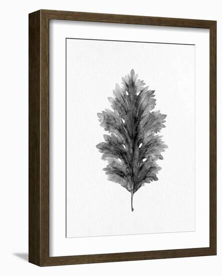 Acanthus Leaf 1-Allen Kimberly-Framed Art Print