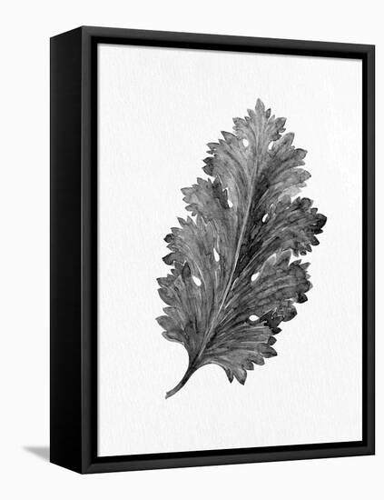 Acanthus Leaf 2-Allen Kimberly-Framed Stretched Canvas