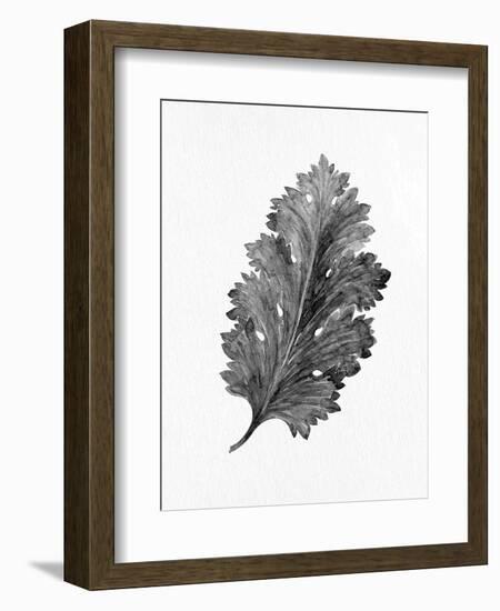 Acanthus Leaf 2-Allen Kimberly-Framed Art Print