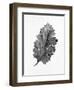 Acanthus Leaf 2-Allen Kimberly-Framed Art Print