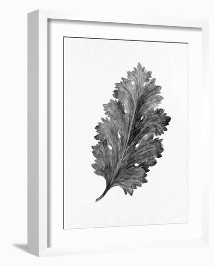 Acanthus Leaf 2-Allen Kimberly-Framed Art Print