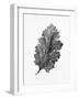 Acanthus Leaf 2-Allen Kimberly-Framed Art Print