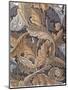 'Acanthus', wallpaper designed by William Morris, 1875-William Morris-Mounted Giclee Print