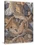 'Acanthus', wallpaper designed by William Morris, 1875-William Morris-Stretched Canvas
