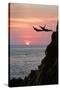 Acapulco Cliff Divers at Sunset-Thom Lang-Stretched Canvas