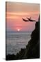 Acapulco Cliff Divers at Sunset-Thom Lang-Stretched Canvas