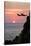 Acapulco Cliff Divers at Sunset-Thom Lang-Stretched Canvas