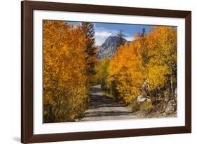 Access Road to Sabrina Lake, Eastern Sierra, Bishop Creek, California-Michael Qualls-Framed Photographic Print