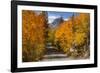Access Road to Sabrina Lake, Eastern Sierra, Bishop Creek, California-Michael Qualls-Framed Photographic Print