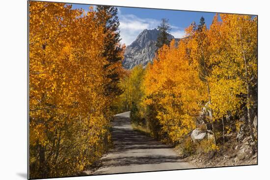 Access Road to Sabrina Lake, Eastern Sierra, Bishop Creek, California-Michael Qualls-Mounted Photographic Print