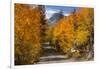 Access Road to Sabrina Lake, Eastern Sierra, Bishop Creek, California-Michael Qualls-Framed Photographic Print