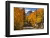 Access Road to Sabrina Lake, Eastern Sierra, Bishop Creek, California-Michael Qualls-Framed Photographic Print