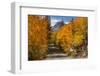 Access Road to Sabrina Lake, Eastern Sierra, Bishop Creek, California-Michael Qualls-Framed Photographic Print