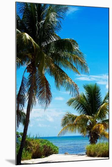 Access to the Beach Paradise - Florida - USA-Philippe Hugonnard-Mounted Premium Photographic Print
