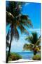 Access to the Beach Paradise - Florida - USA-Philippe Hugonnard-Mounted Premium Photographic Print