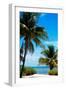 Access to the Beach Paradise - Florida - USA-Philippe Hugonnard-Framed Premium Photographic Print