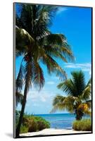 Access to the Beach Paradise - Florida - USA-Philippe Hugonnard-Mounted Photographic Print