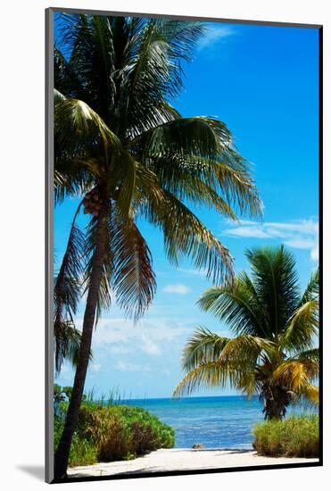 Access to the Beach Paradise - Florida - USA-Philippe Hugonnard-Mounted Photographic Print