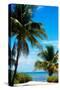 Access to the Beach Paradise - Florida - USA-Philippe Hugonnard-Stretched Canvas