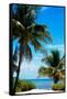 Access to the Beach Paradise - Florida - USA-Philippe Hugonnard-Framed Stretched Canvas