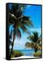 Access to the Beach Paradise - Florida - USA-Philippe Hugonnard-Framed Stretched Canvas