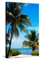 Access to the Beach Paradise - Florida - USA-Philippe Hugonnard-Stretched Canvas