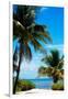 Access to the Beach Paradise - Florida - USA-Philippe Hugonnard-Framed Photographic Print