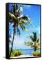 Access to the Sea - In the Style of Oil Painting-Philippe Hugonnard-Framed Stretched Canvas