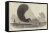 Accident to the Nassau Balloon, Between Gravesend and the Nore-null-Framed Stretched Canvas