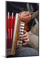 Accordion, Ethnic Group of Musicians, River Emajogi, Tartu, Estonia, Baltic States, Europe-Nico Tondini-Mounted Photographic Print