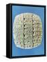 Accounts Table with Cuneiform Script, circa 2400 BC-Mesopotamian-Framed Stretched Canvas