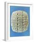 Accounts Table with Cuneiform Script, circa 2400 BC-Mesopotamian-Framed Giclee Print