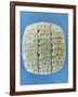 Accounts Table with Cuneiform Script, circa 2400 BC-Mesopotamian-Framed Giclee Print