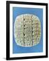 Accounts Table with Cuneiform Script, circa 2400 BC-Mesopotamian-Framed Giclee Print