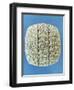 Accounts Table with Cuneiform Script, circa 2400 BC-Mesopotamian-Framed Giclee Print