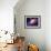 Accretion by a Supermassive Black Hole-null-Framed Premium Photographic Print displayed on a wall