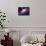 Accretion by a Supermassive Black Hole-null-Photographic Print displayed on a wall