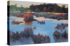 Ace Basin Creek-Madeline Dukes-Stretched Canvas