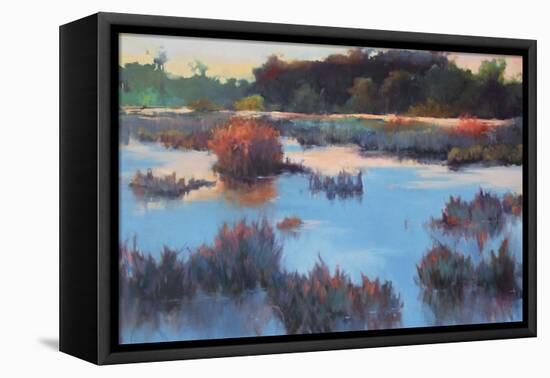 Ace Basin Creek-Madeline Dukes-Framed Stretched Canvas