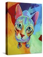 Ace Cat-Corina St. Martin-Stretched Canvas