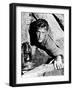 Ace in the Hole, (AKA the Big Carnival), Kirk Douglas, 1951-null-Framed Photo