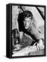 Ace in the Hole, (AKA the Big Carnival), Kirk Douglas, 1951-null-Framed Stretched Canvas