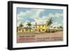 Ace Motel, Jacksonville, Florida-null-Framed Art Print