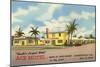 Ace Motel, Jacksonville, Florida-null-Mounted Art Print